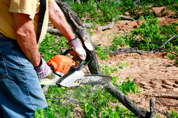 Best Tree Branch Trimming  in Pontiac, MI